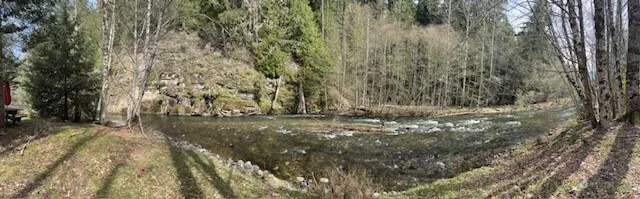 a view of outdoor space and yard