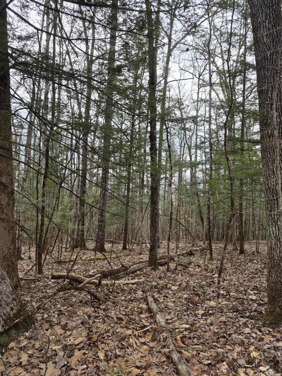 Pond Road, Unit 1 Bellows Falls, VT 05101 - Photo 2 of 5