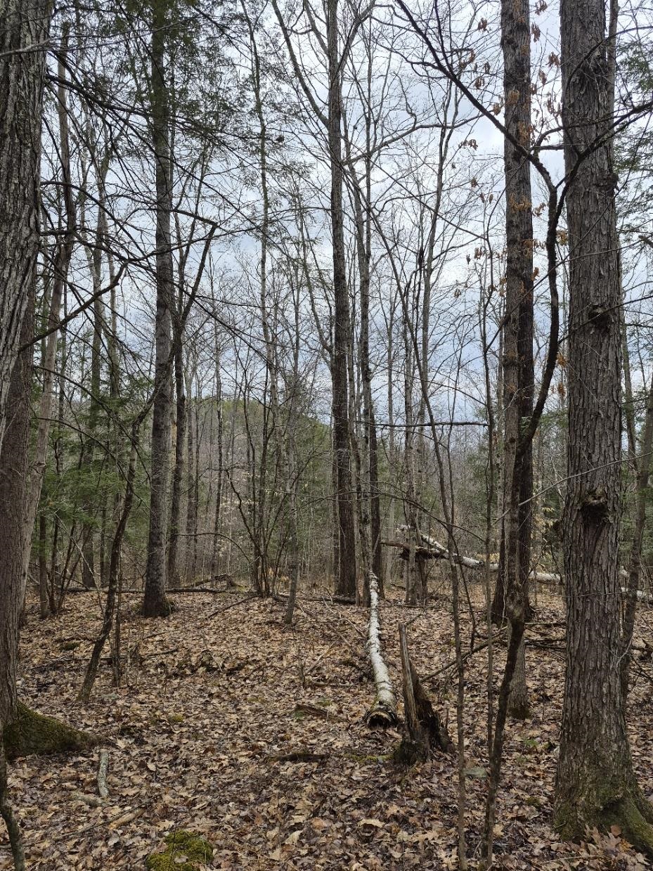 Pond Road, Unit 1 Bellows Falls, VT 05101 - Photo 3 of 5