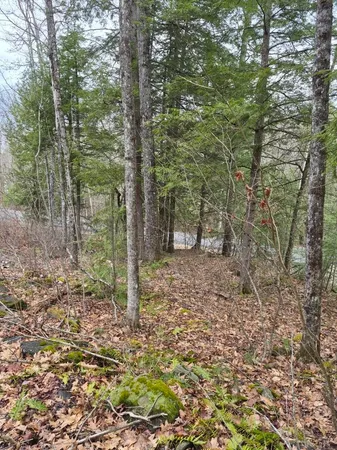 $400,000 | Pond Road, Unit 1, Bellows Falls, VT 05101