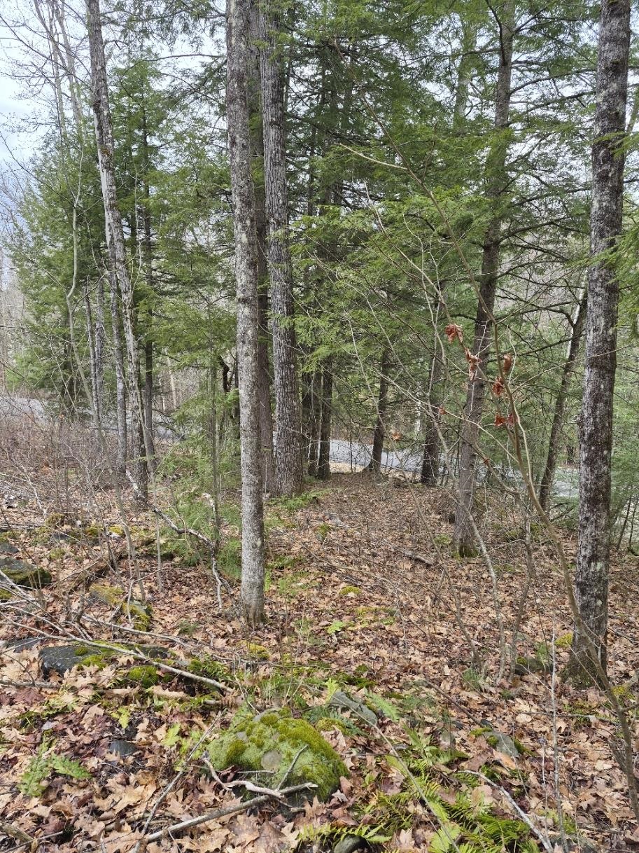 Pond Road, Unit 1 Bellows Falls, VT 05101 - Photo 4 of 5