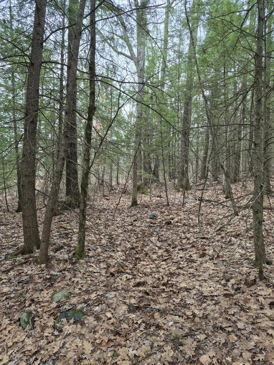 Pond Road, Unit 1 Bellows Falls, VT 05101 - Photo 5 of 5