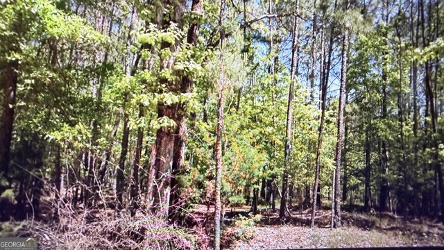 0 Goshen Road Thomaston, GA 30286 - Photo 5 of 18 a view of forest