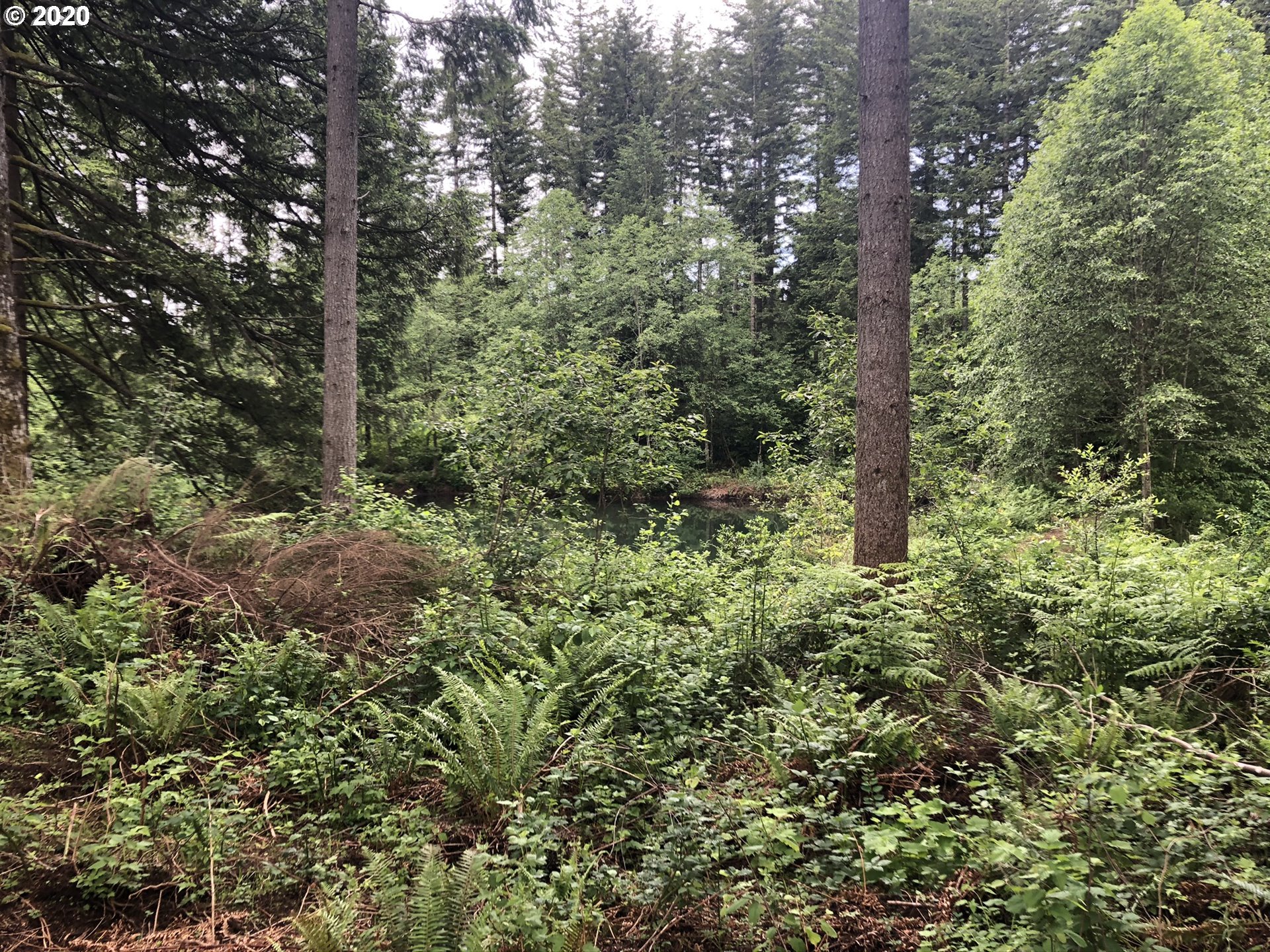 Skye Road, Unit 3 Washougal, WA 98671 - Photo 6 of 11 Gallery Image 6
