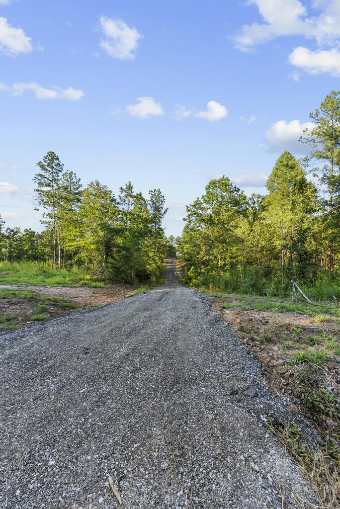 0 Gully Tavern Road Rice, VA 23966 - Photo 11 of 25 Gallery Image 11