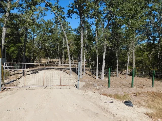 a view of a backyard with a trees