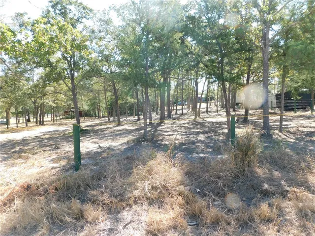 a view of road with trees