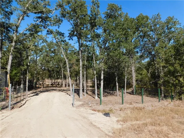 a view of outdoor space with deck and trees