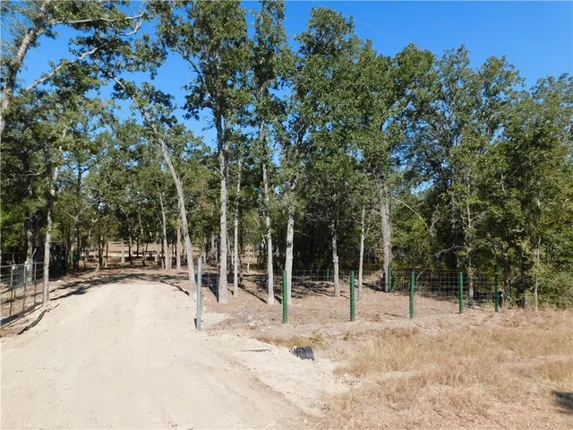 a view of outdoor space with trampoline