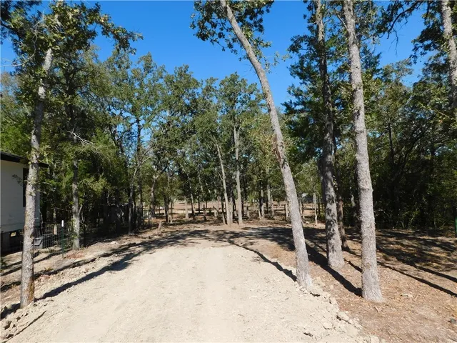 a view of outdoor space with trees