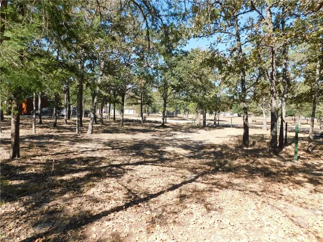 a view of a yard with a tree