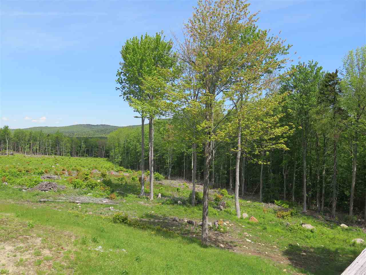 215 Washington Heights Road Washington, NH 03280 - Photo 2 of 28