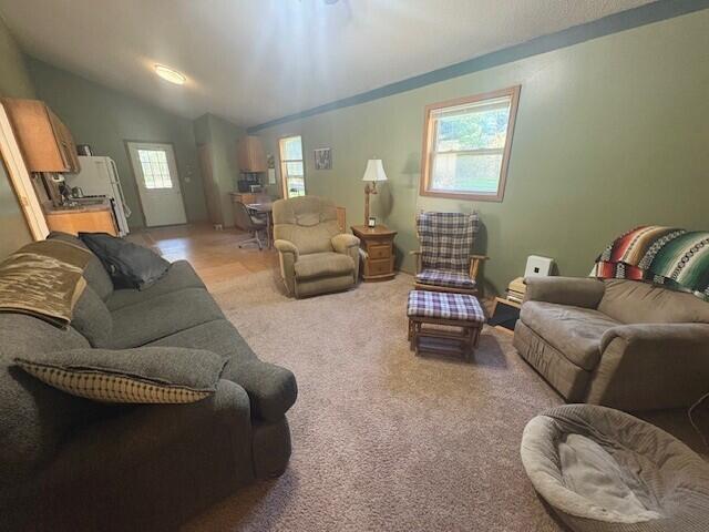 2779 19 Mile Road Marion, MI 49665 - Photo 5 of 24 tw11