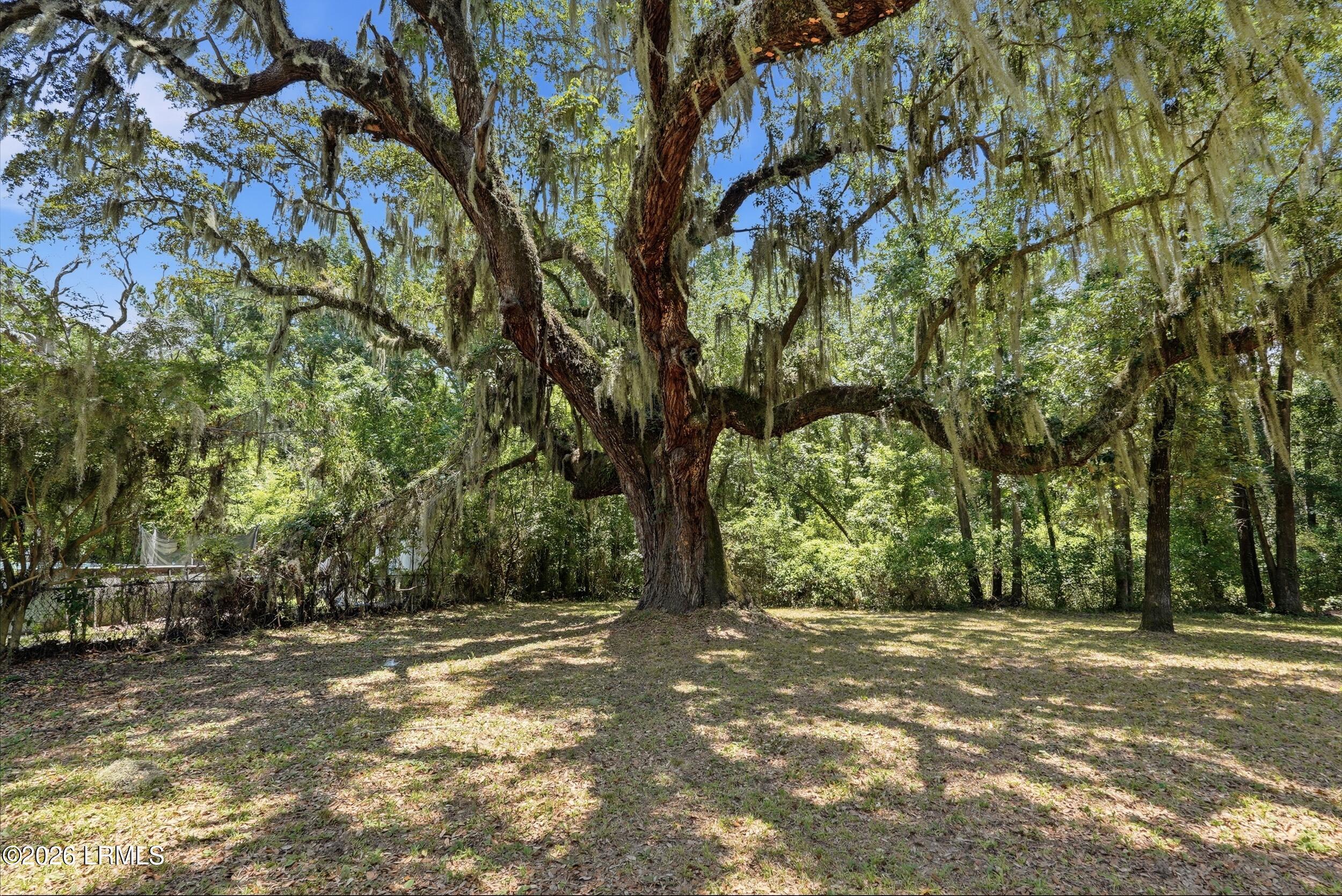 42 Roseida Rd Exd Beaufort, SC 29906 - Photo 43 of 54 51_dsc07402