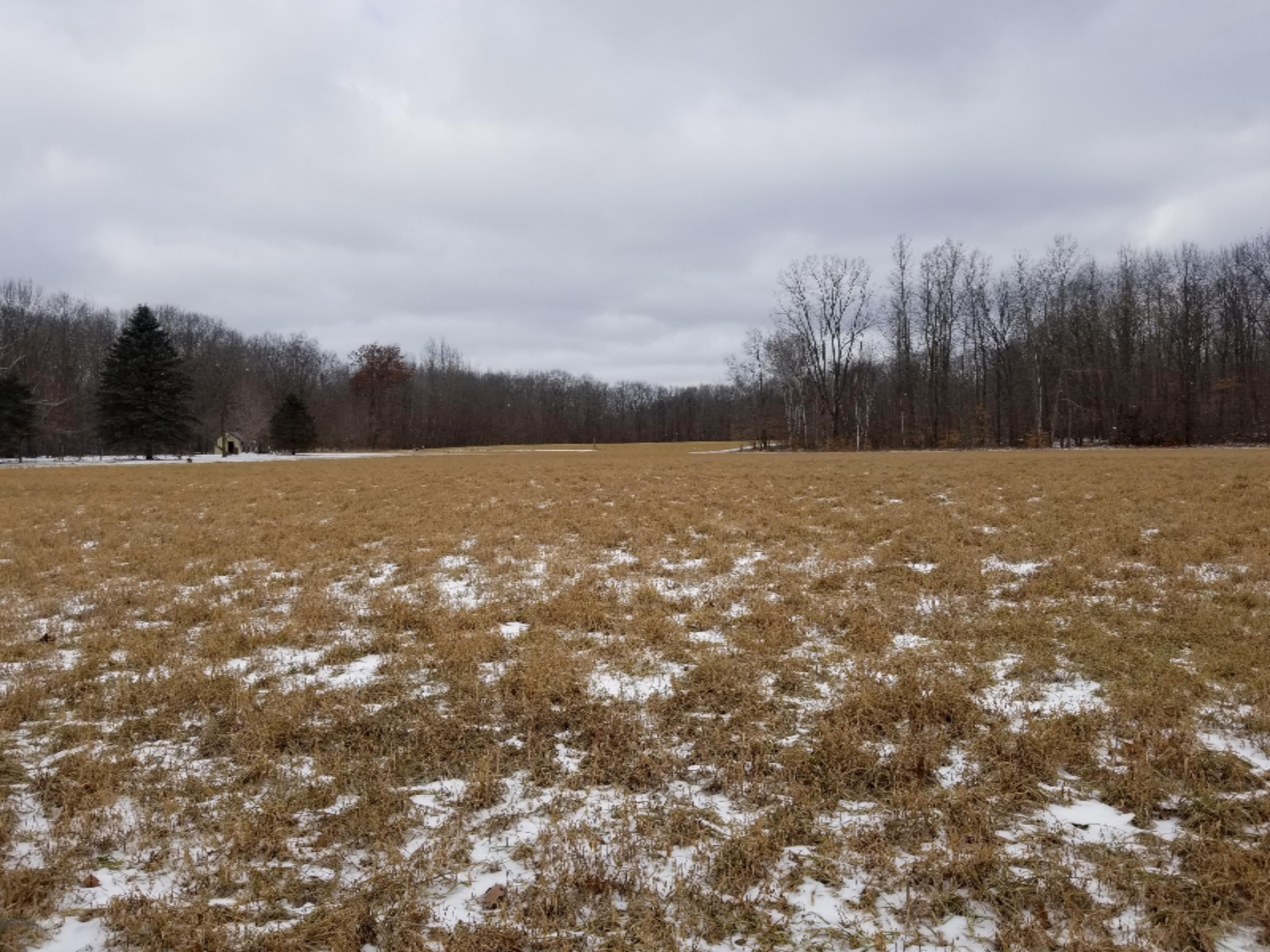 0 East Pakes Road Crystal, MI 48818 - Photo 10 of 13 0 Pakes Rd.