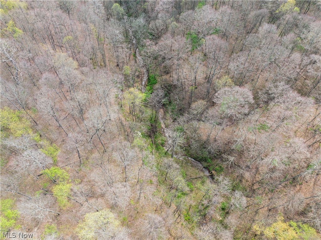 East Captina Highway Road Alledonia, OH 43902 - Photo 2 of 12