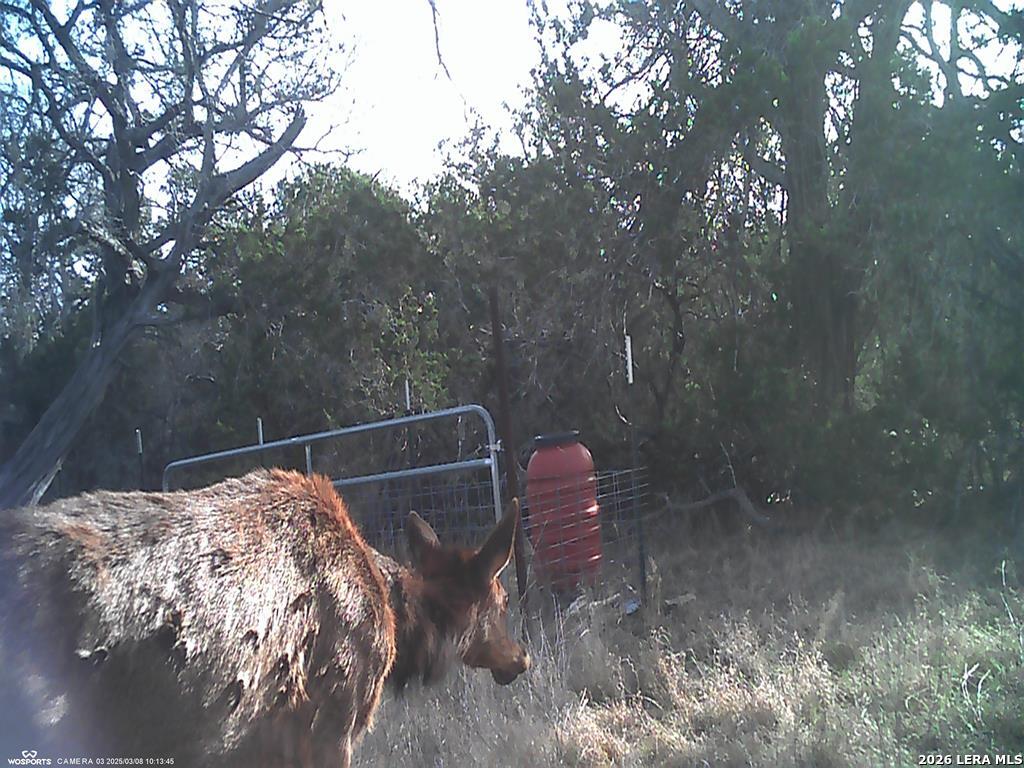 204 Wilson Rand Road Hunt, TX 78024 - Photo 25 of 46