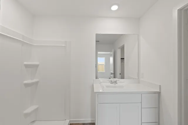 a bathroom with a sink a mirror and shower