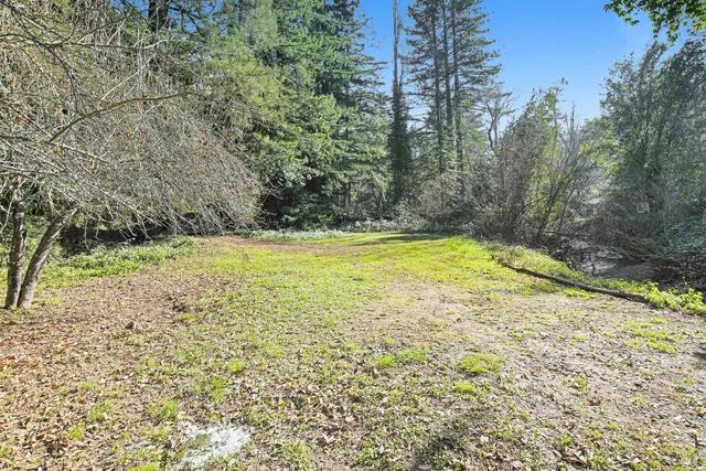 a view of a tree with a yard