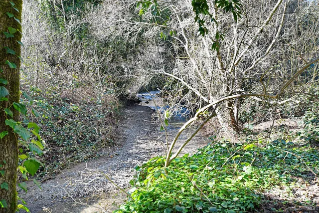 a view of outdoor space and garden