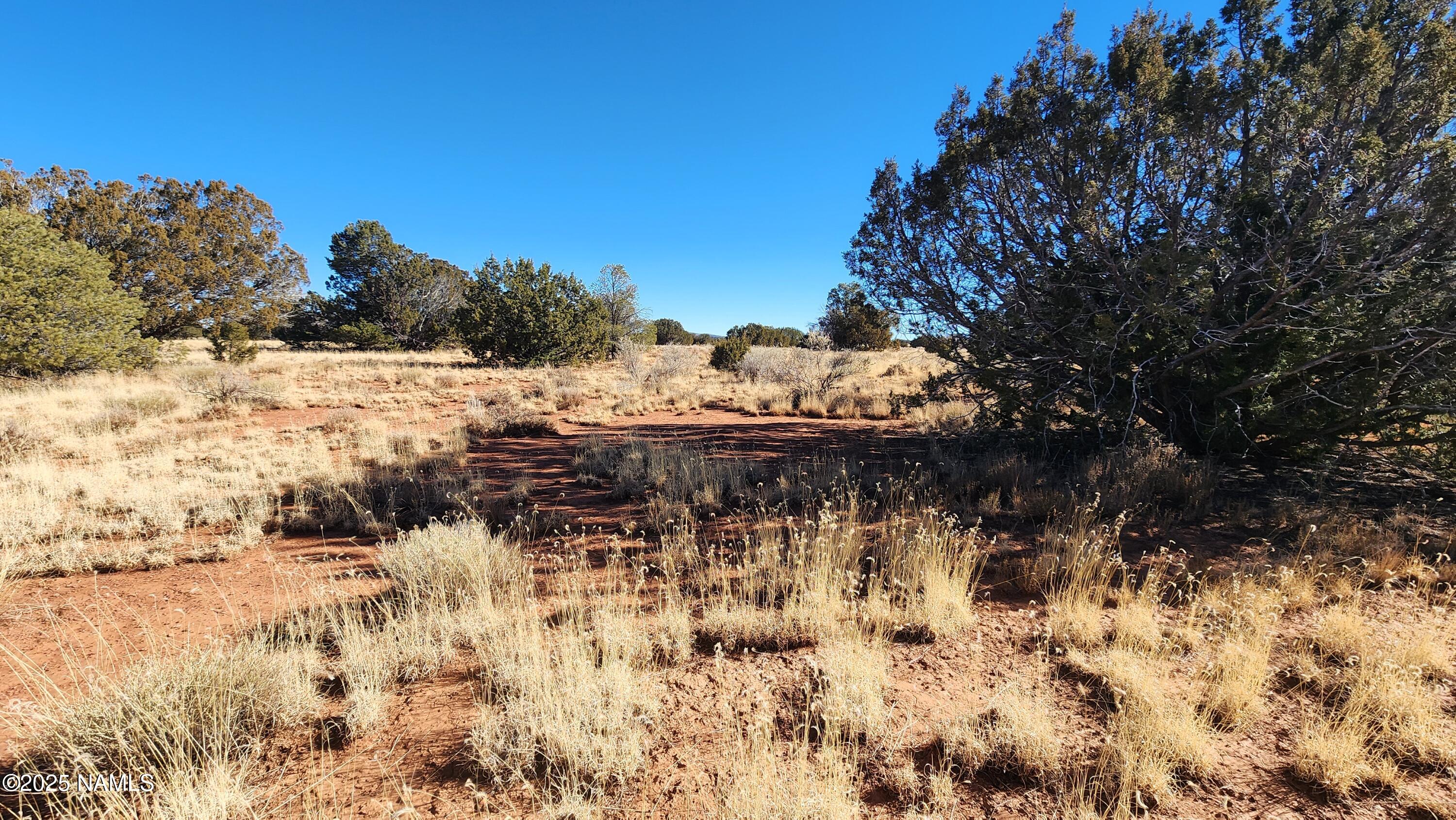 3372 East Valencia Road Williams, AZ 86046 - Photo 5 of 34 1000023830