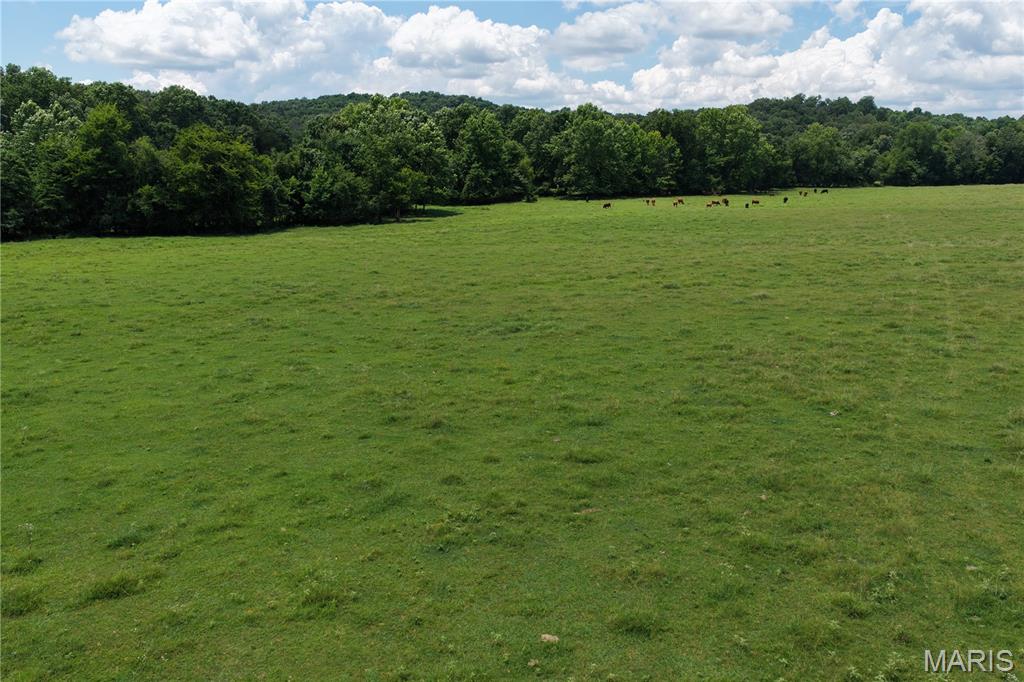 Tbd Fairview Road Imboden, AR 72434 - Photo 21 of 24