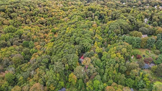 an aerial view of a house with a yard and large trees