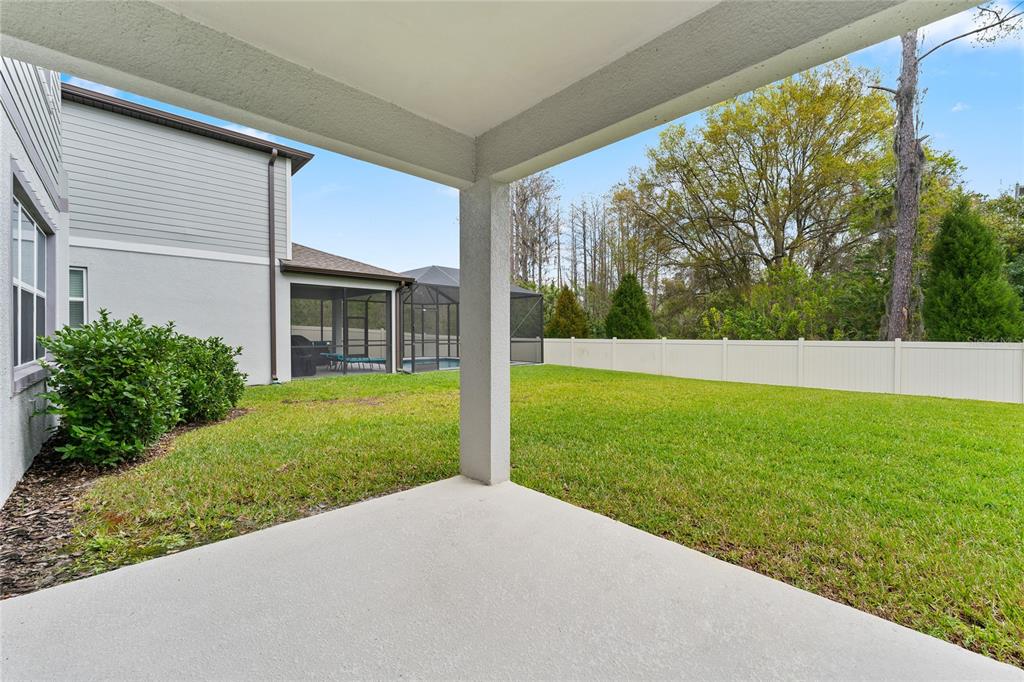 20602 Monza Loop Land O Lakes, FL 34638 - Photo 29 of 44 a view of back yard of the house