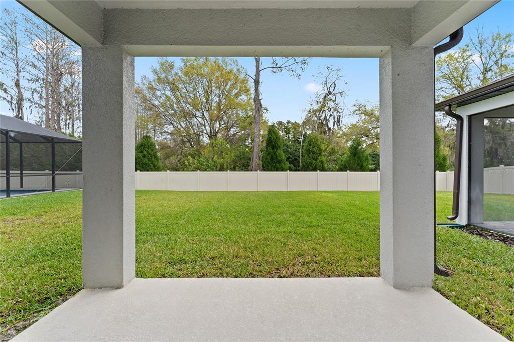 20602 Monza Loop Land O Lakes, FL 34638 - Photo 30 of 44 a view of back yard from a room with a garden