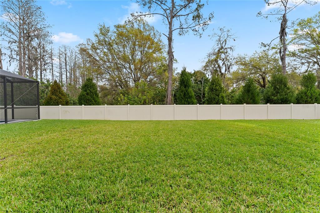 20602 Monza Loop Land O Lakes, FL 34638 - Photo 32 of 44 a view of a yard