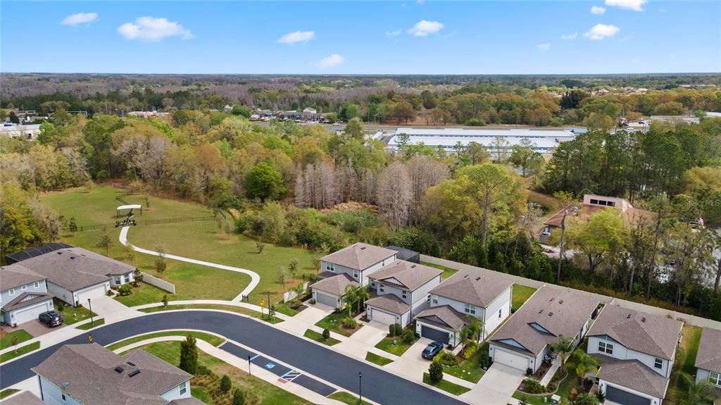 20602 Monza Loop Land O Lakes, FL 34638 - Photo 36 of 44 an aerial view of a house with a lake view