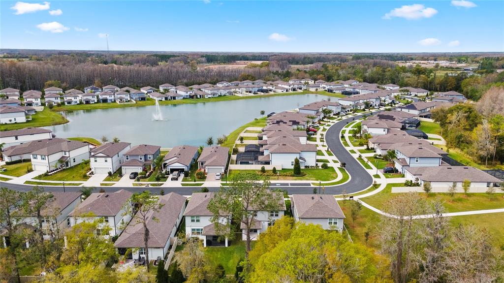 20602 Monza Loop Land O Lakes, FL 34638 - Photo 39 of 44 an aerial view of residential houses with outdoor space