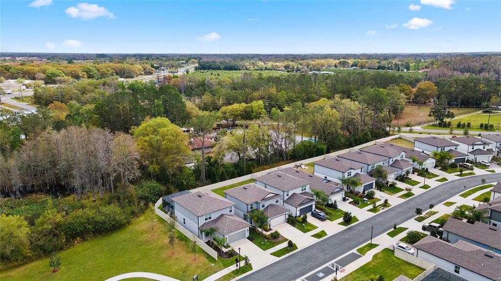 20602 Monza Loop Land O Lakes, FL 34638 - Photo 40 of 44 an aerial view of a house with a garden