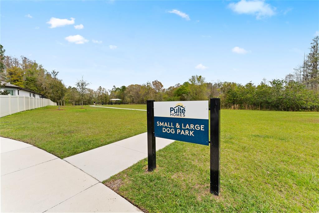20602 Monza Loop Land O Lakes, FL 34638 - Photo 44 of 44 a view of a street with a park