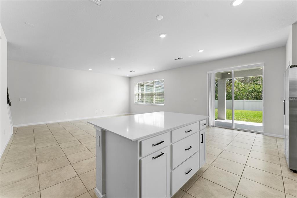 20602 Monza Loop Land O Lakes, FL 34638 - Photo 10 of 44 a kitchen with a sink a counter top space and cabinets