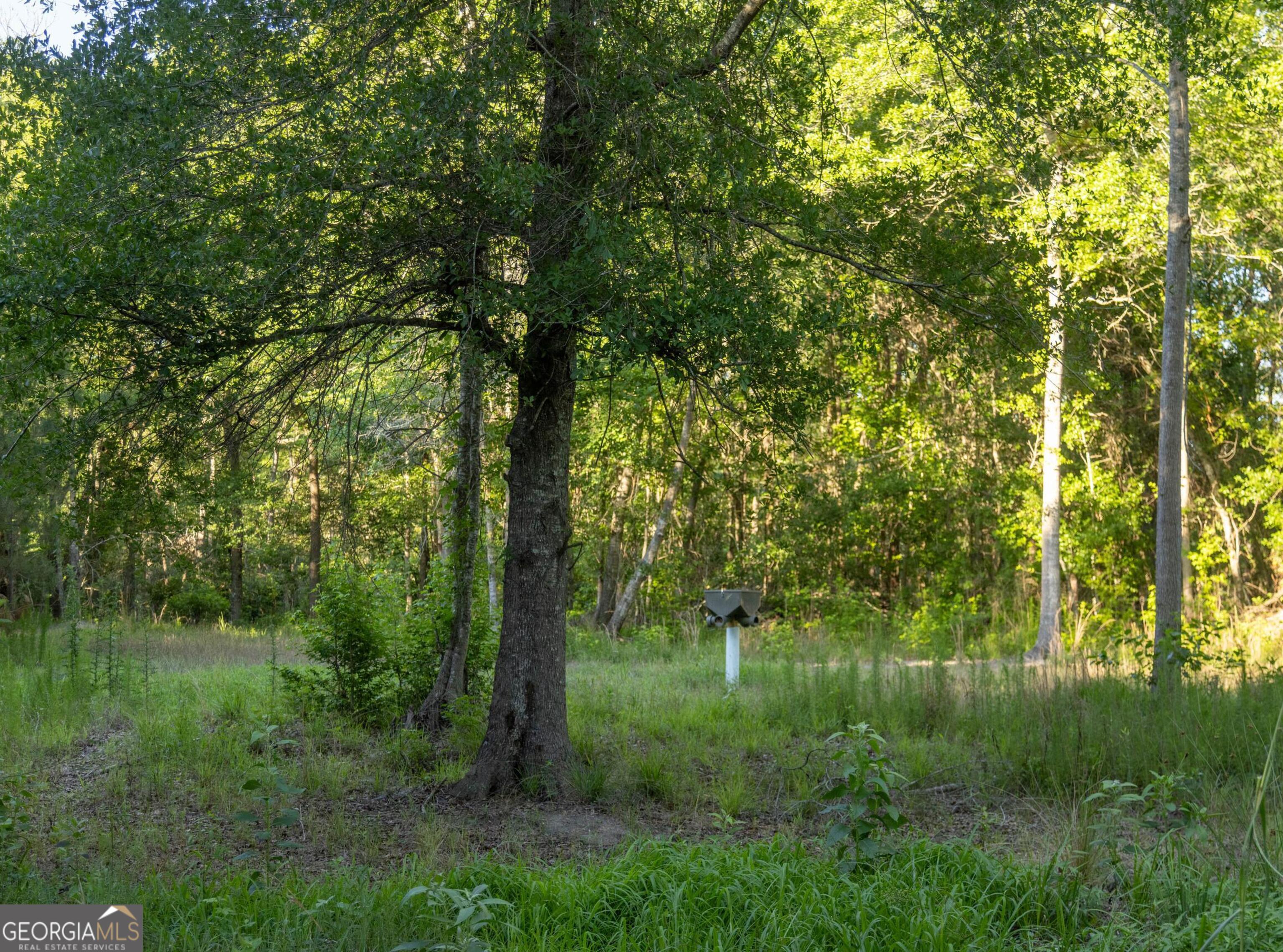 300 Beulah Road Sylvania, GA 30467 - Photo 22 of 35