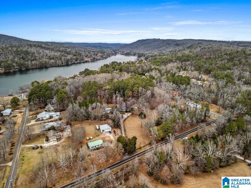 8306 Cedar Mountain Road Pinson, AL 35126 - Photo 34 of 44