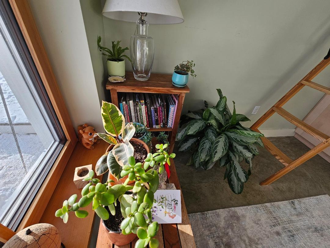 66 Village Road Belfast, ME 04915 - Photo 7 of 15 7