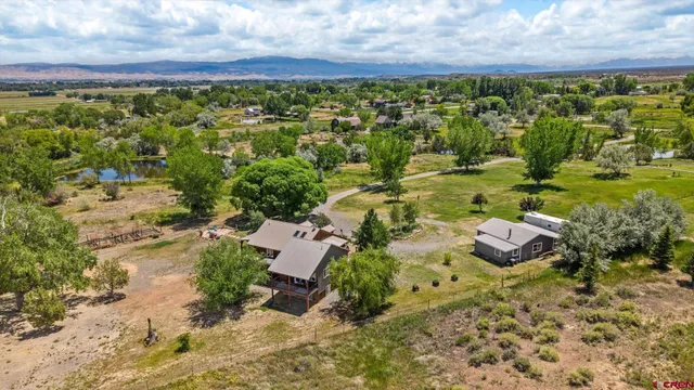 a view of a garden with an outdoor space