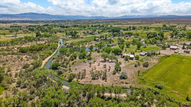 a view of a city with lush green forest