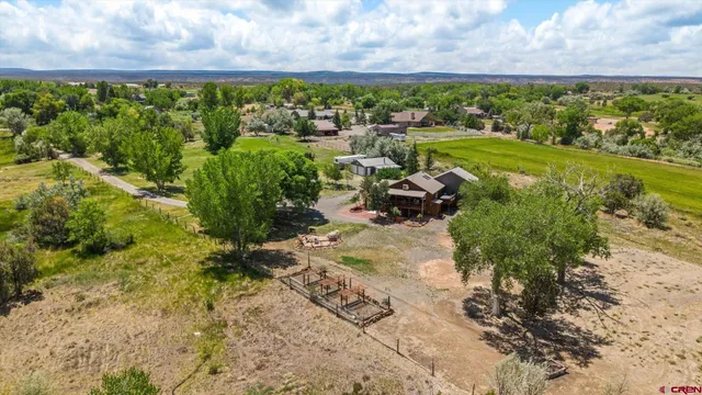 a view of a garden with a building in the background