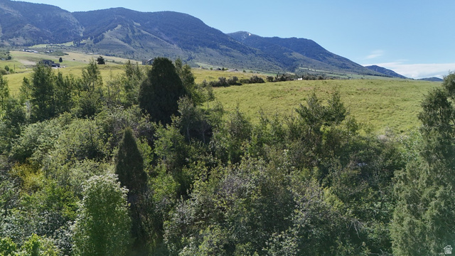 1398 Mogul Lane, Unit 1 Inkom, ID 83245 - Photo 11 of 33 Expansive natural landscape featuring lush green fields and dense tree coverage