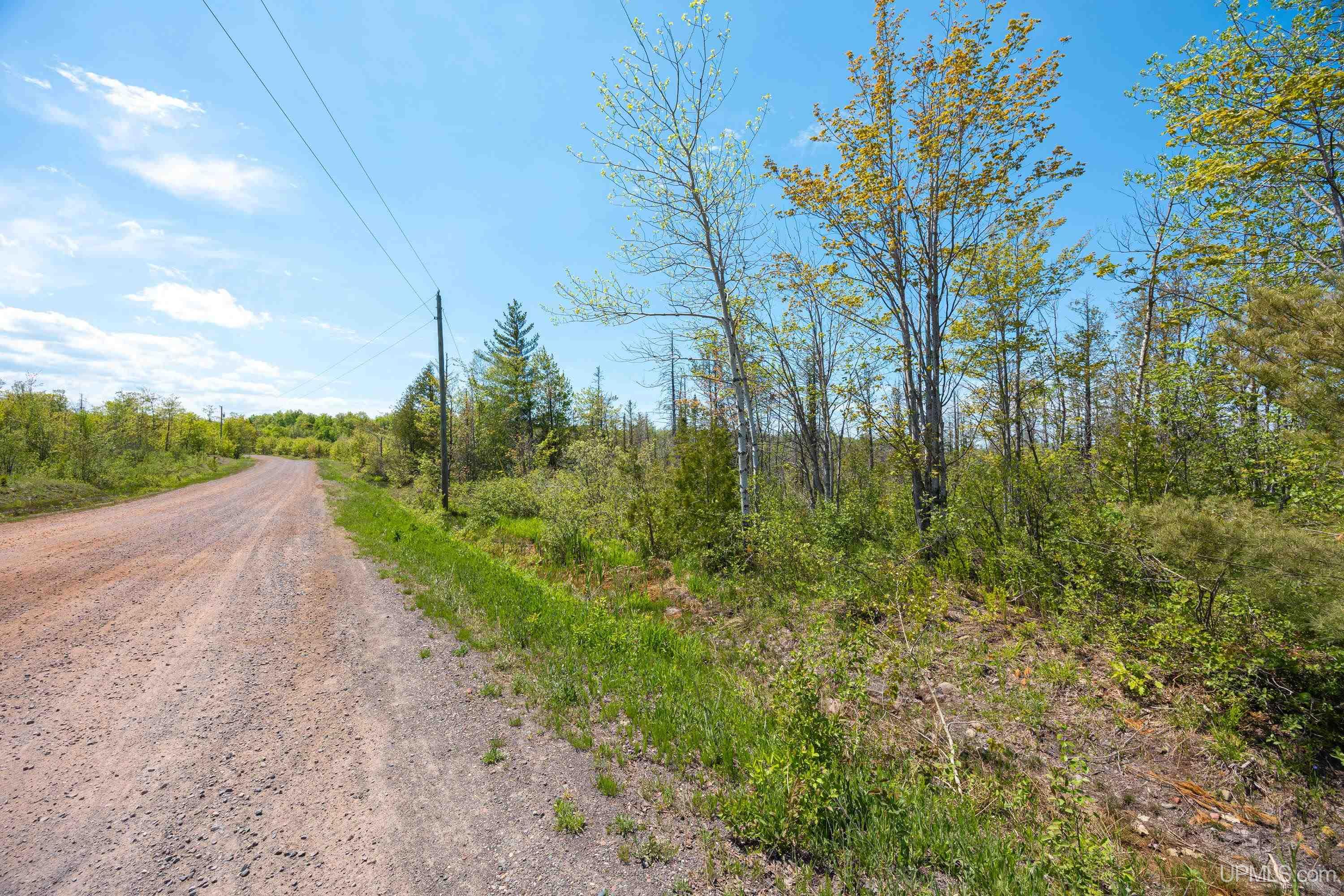 Lot 1 Airport Road, Unit CO RD 35B Calumet, MI 49913 - Photo 4 of 19