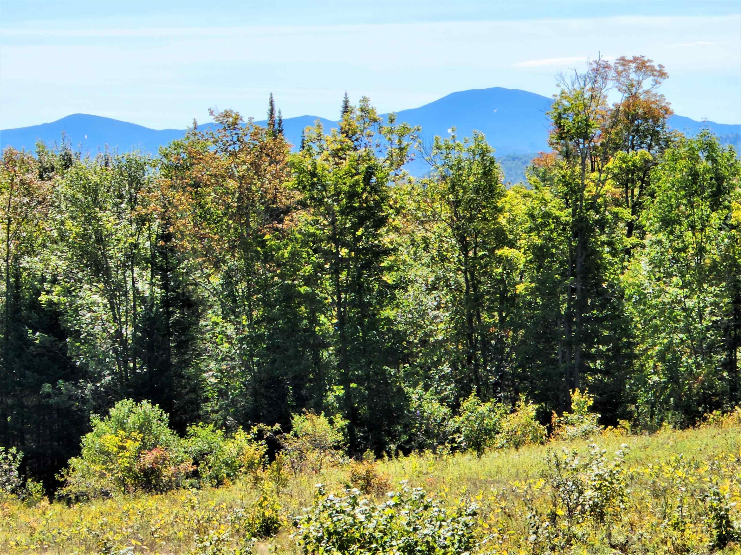 0 U.S. Route 2, Unit PARCEL 3 Lunenburg, VT 05906 - Photo 12 of 40