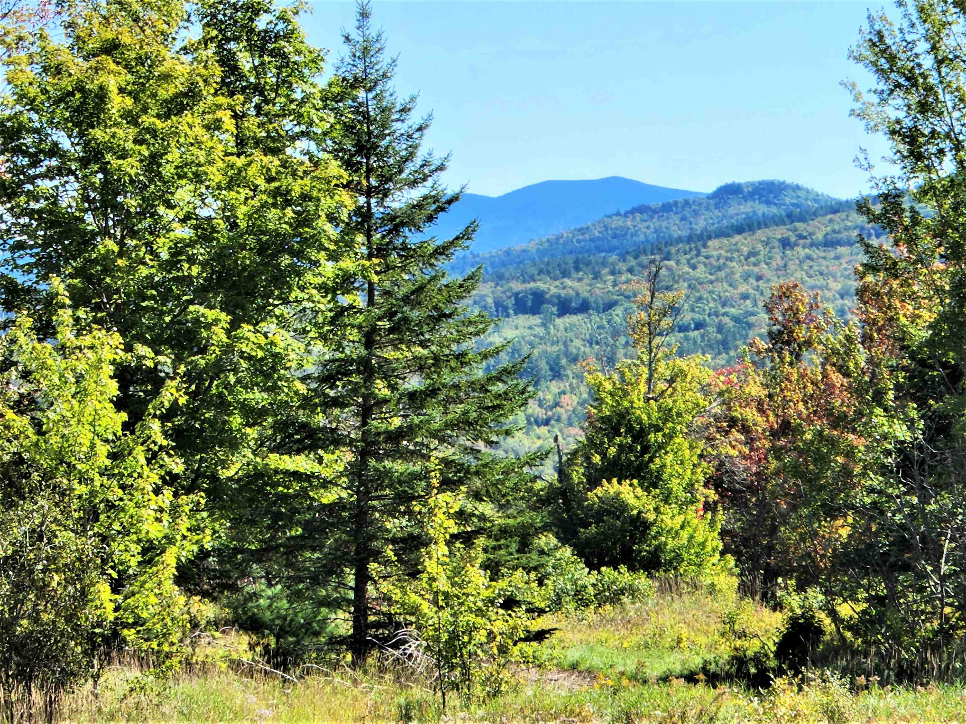 0 U.S. Route 2, Unit PARCEL 3 Lunenburg, VT 05906 - Photo 17 of 40