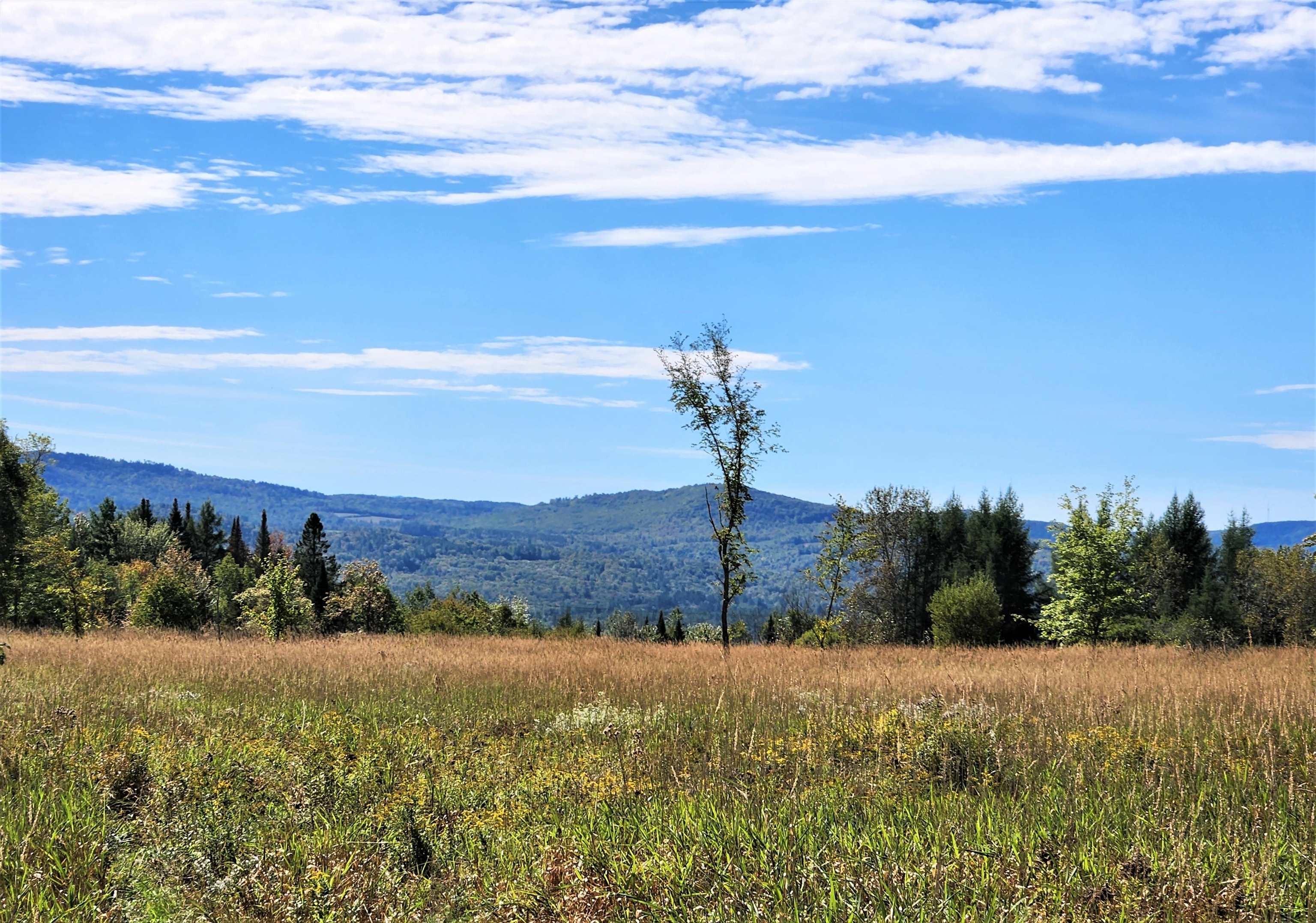 0 U.S. Route 2, Unit PARCEL 3 Lunenburg, VT 05906 - Photo 19 of 40