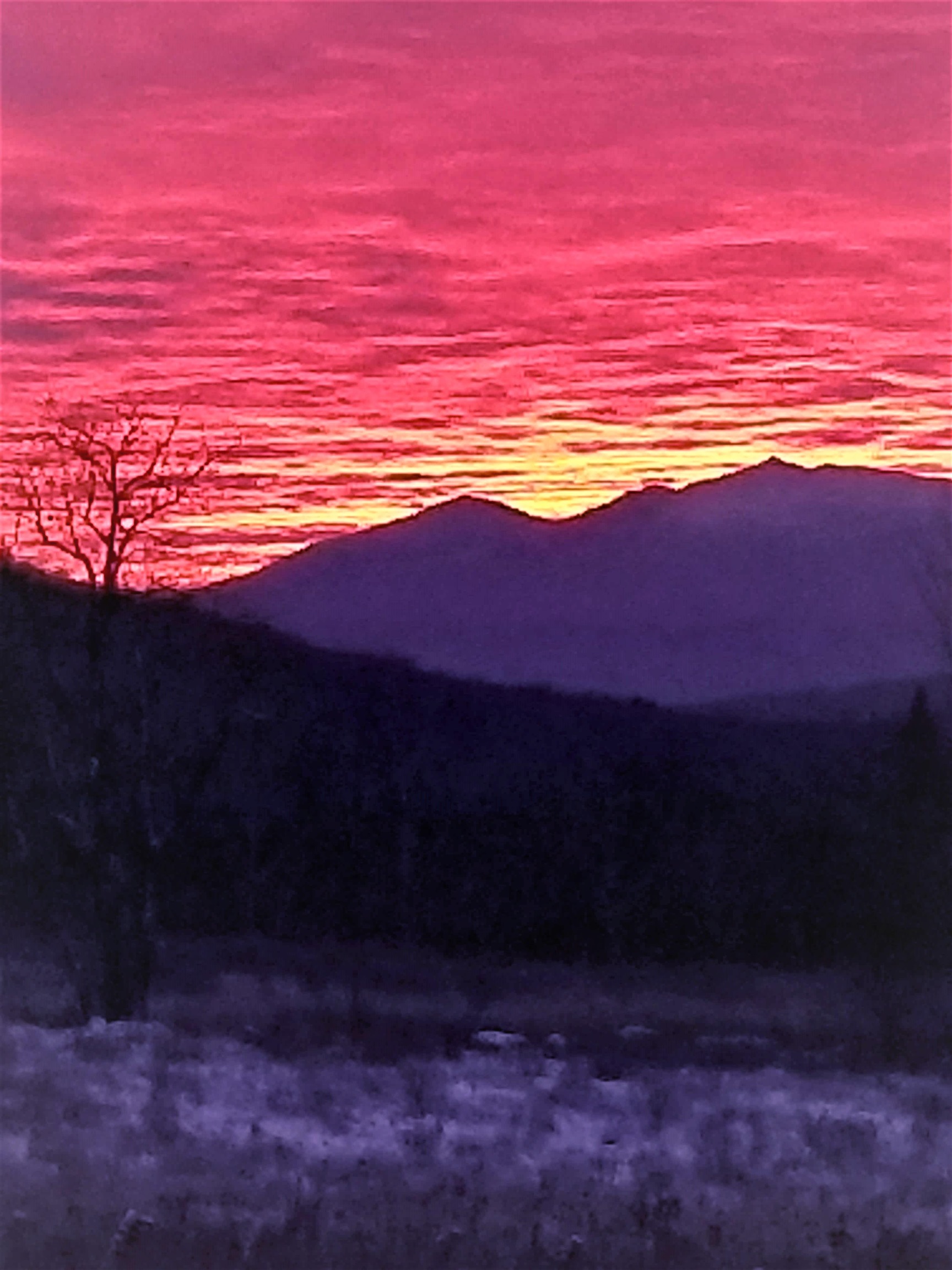 0 U.S. Route 2, Unit PARCEL 3 Lunenburg, VT 05906 - Photo 24 of 40