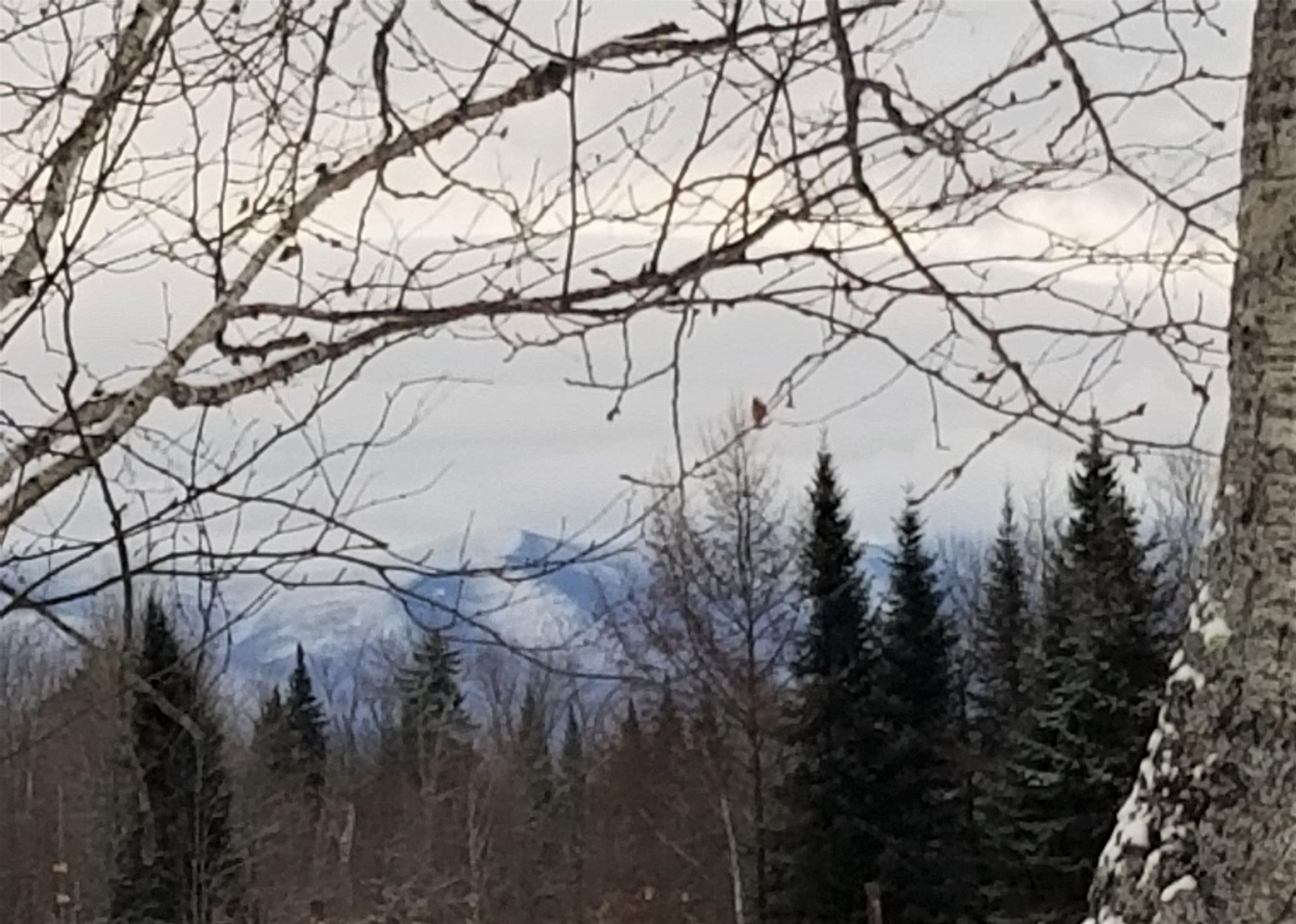 0 U.S. Route 2, Unit PARCEL 3 Lunenburg, VT 05906 - Photo 3 of 40