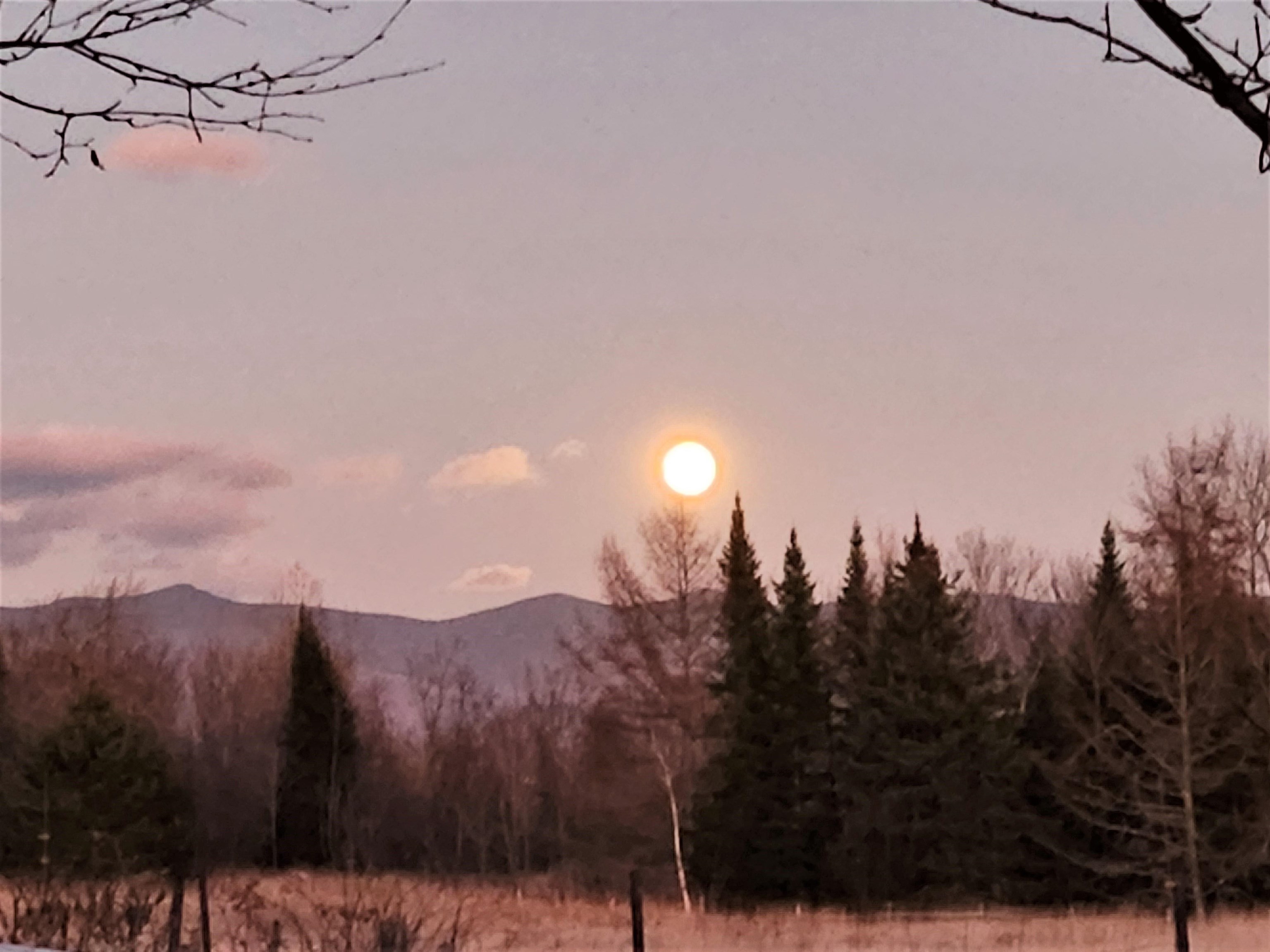 0 U.S. Route 2, Unit PARCEL 3 Lunenburg, VT 05906 - Photo 32 of 40