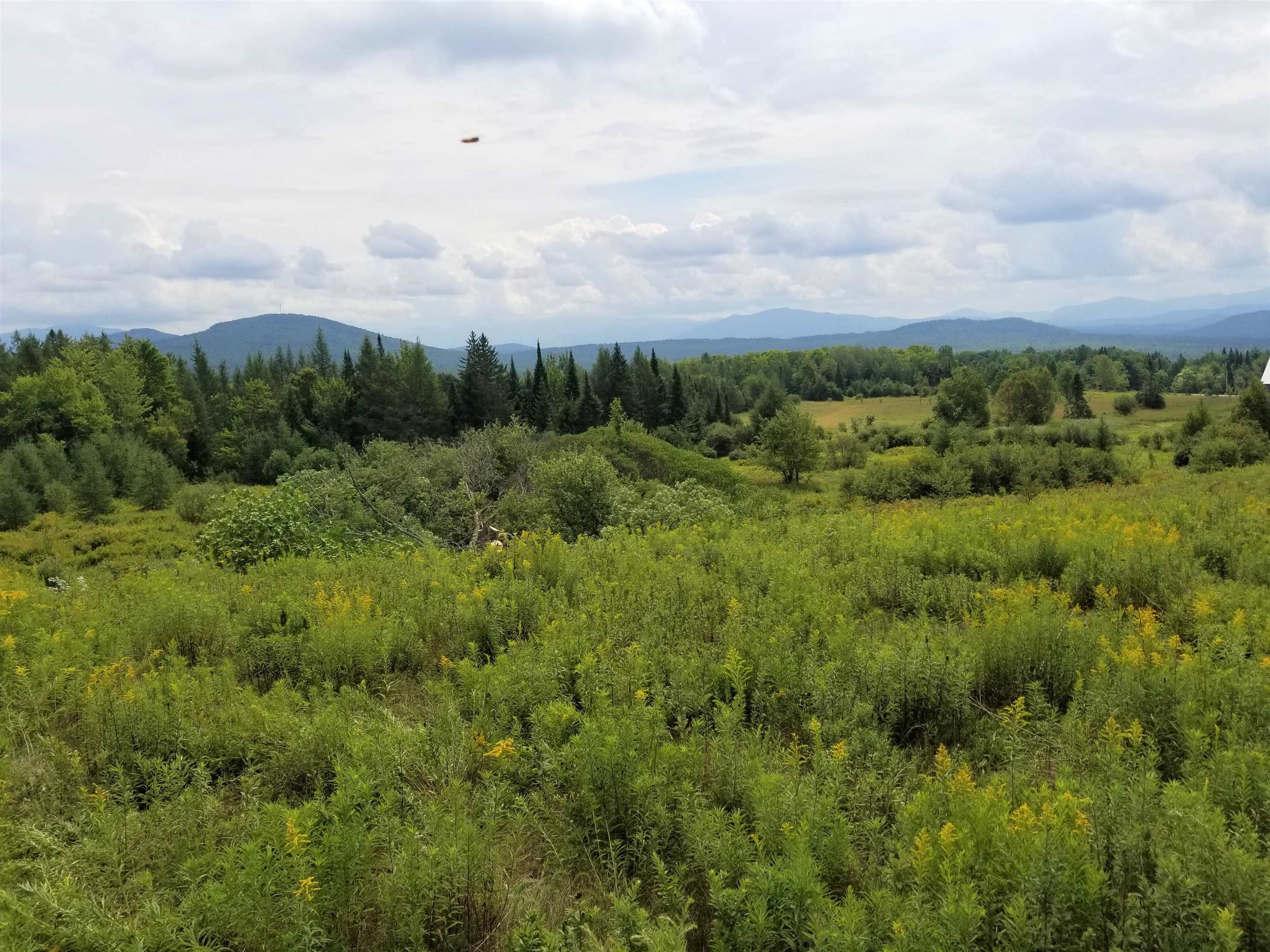 0 U.S. Route 2, Unit PARCEL 3 Lunenburg, VT 05906 - Photo 8 of 40